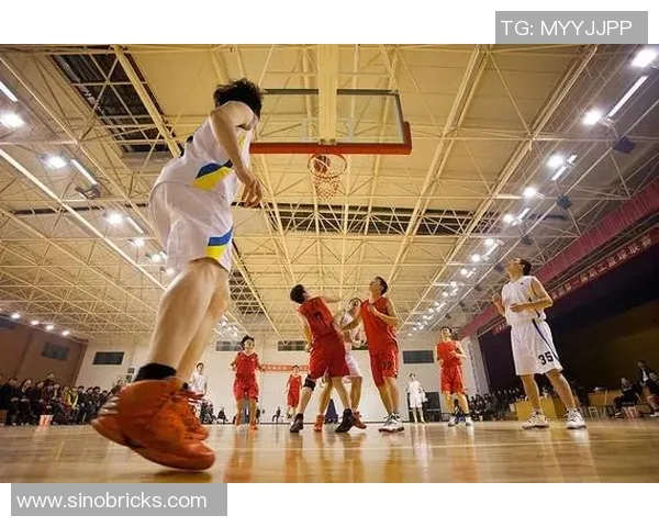 篮球明星精彩瞬间集锦玩转篮球场上的绝技与魅力